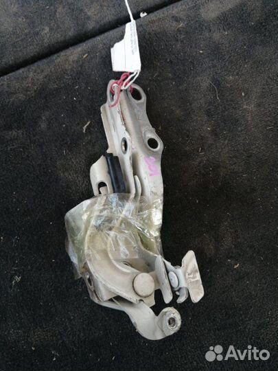 Петля капота Toyota Noah AZR60 2003