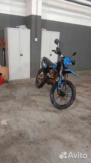 Регульмото спорт 003 про 2024