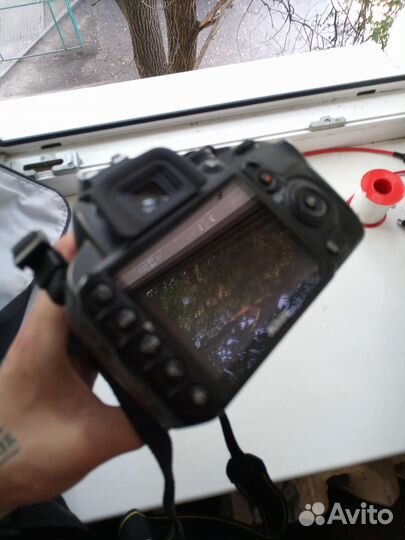 Зеркальный фотоаппарат nikon d3100