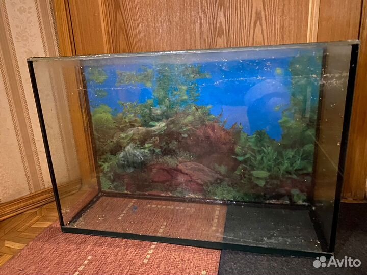 Аквариум