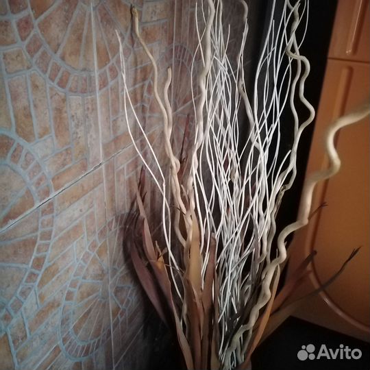 Сухоцветы (для интерьера)