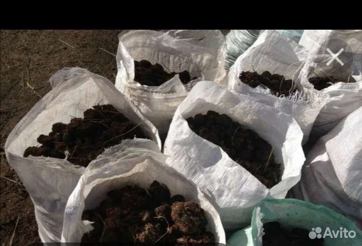 Конский навоз