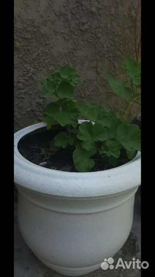 Горшок для цветов