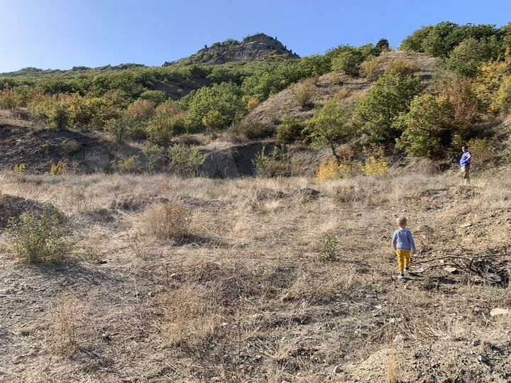 Участок 40 сот. (ИЖС)