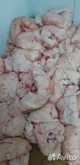 Курдюки свежие