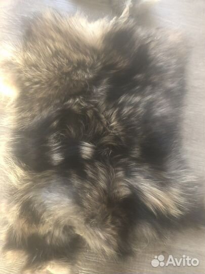 Шкура бобра(искусственная)