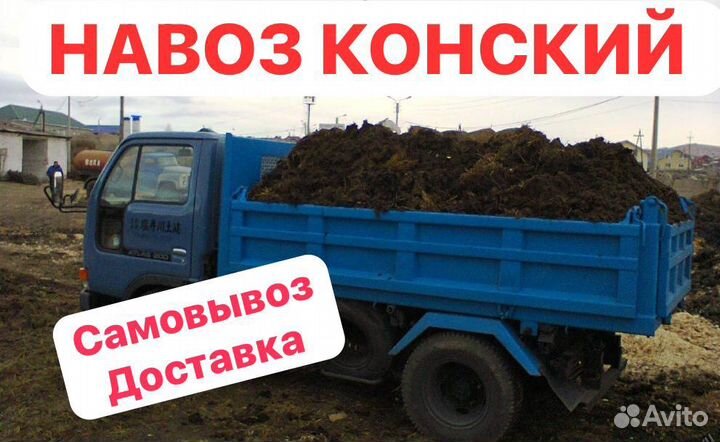 Конский навоз