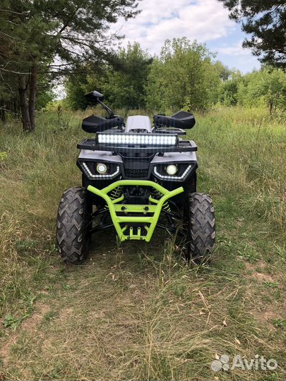 Avantis Hunter 200 New LUX