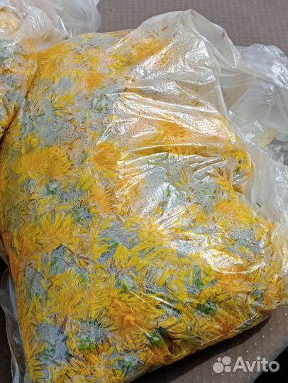 Варенье из одуванчиков