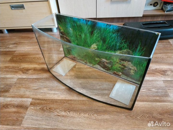 Аквариум (протекающий)