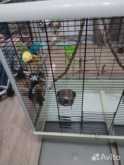 Клетка для попугая ferplast piano 6