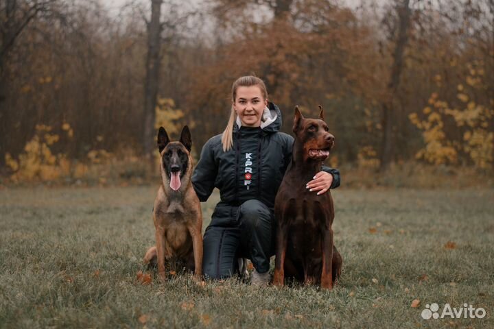 Услуги кинолога