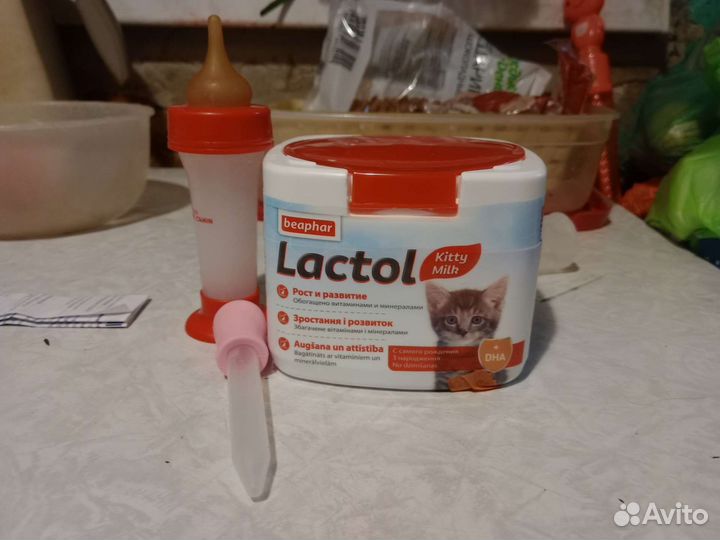 Смесь для котят