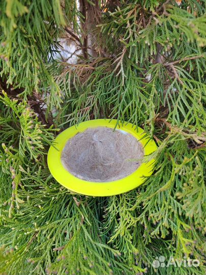 Гнездо для певчих птиц