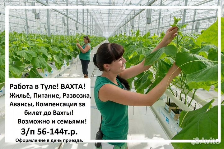 Помощник по хозяйству с проживанием