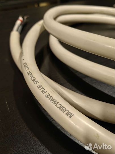 Transparent MusicWave Plus+VDH