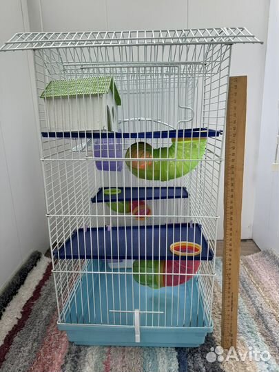 Клетка для сирийского хомяка