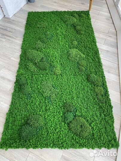 Панели из стабилизированного мха