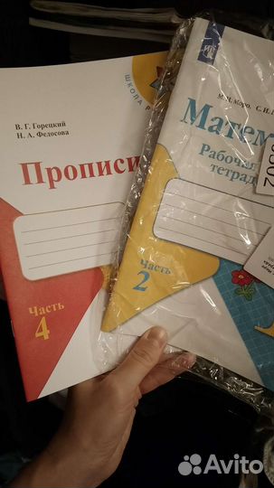 Прописи 1 класс горецкий