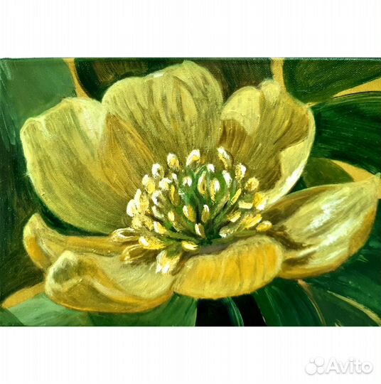 Картина маслом Желтый цветок