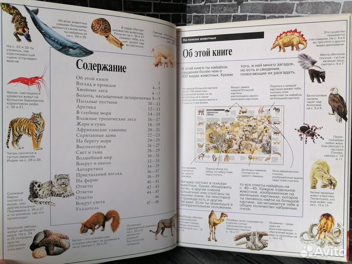 На поиски животных (Росмэн 1998 год)