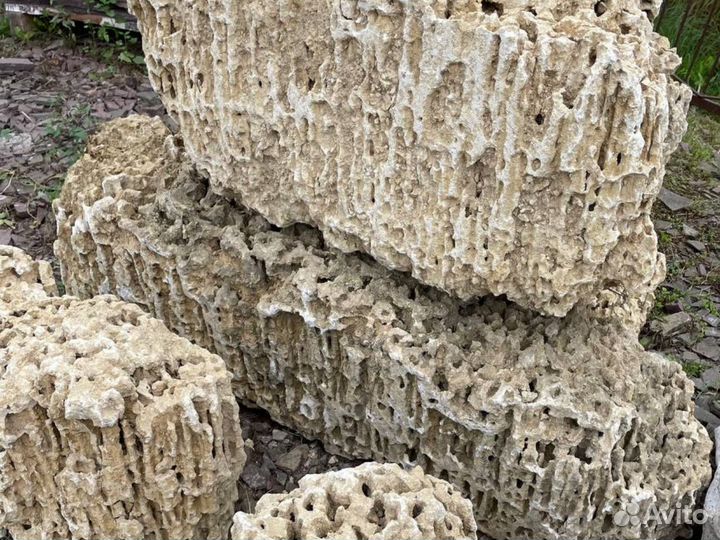 Миотис, Ракушечник, Камень для аквариума