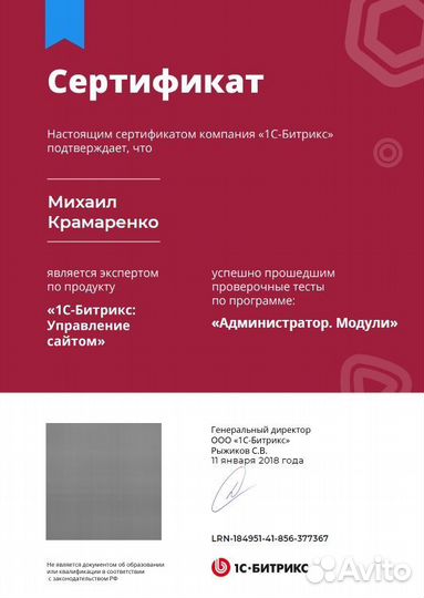 Программист. Создание сайтов. Техническая поддержк
