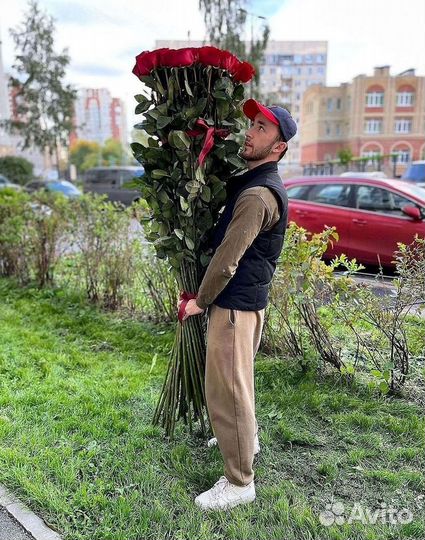 Высокие розы