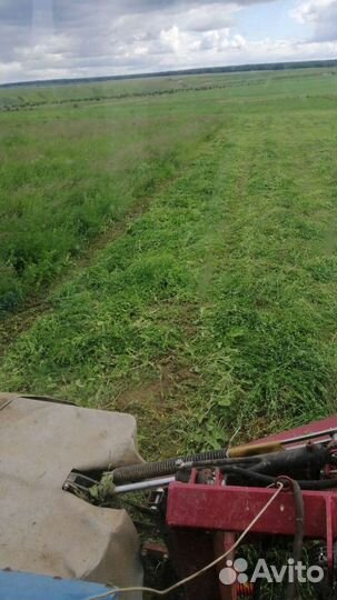 Продам сено в рулонах 2023