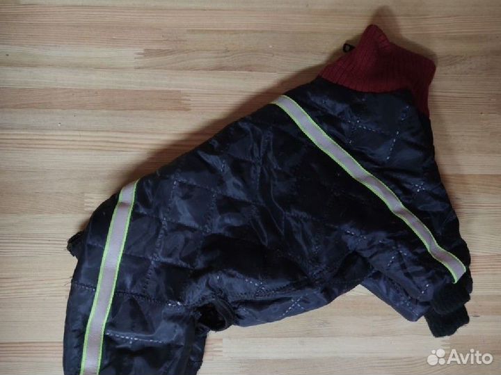 Одежда для тойчика