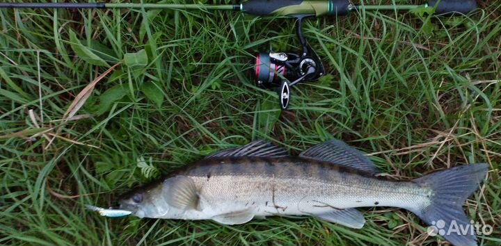 Спиннинг zetrix avalanche 2-12 и maximums anvil