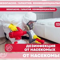 Дезинфекция Уничтожение тараканов клопов