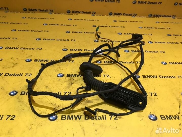 Проводка двери задняя левая Bmw 5 E60 N52B30 2006