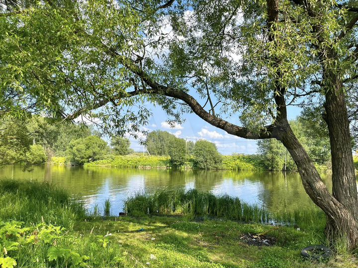 Участок 10 сот. (ИЖС)