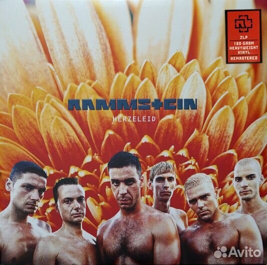 Виниловая пластинка Rammstein, Herzeleid