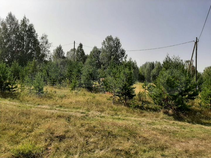 Участок 11,5 сот. (СНТ, ДНП)