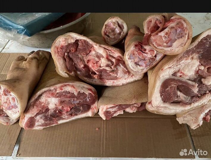 Свиная голова