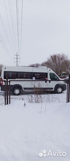 Пассажирские перевозки микроавтобус