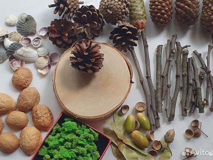 Природные материалы для поделок в сад