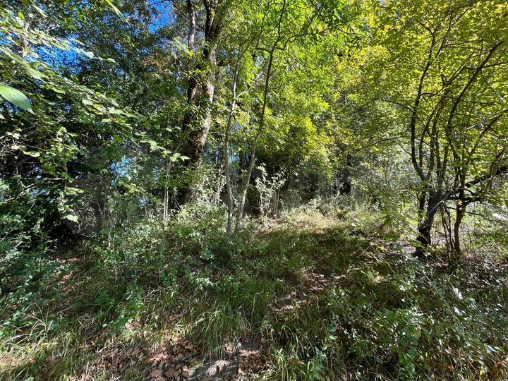 Участок 3 сот. (СНТ, ДНП)