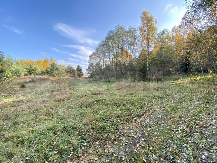 Участок 15 сот. (ИЖС)