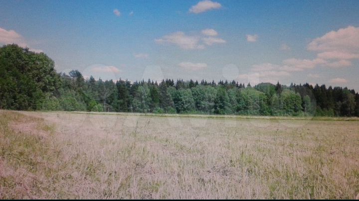 Участок 2,99 га (СНТ, ДНП)