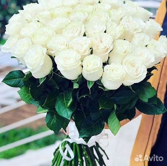 Розы Цветы Букеты 25 51 151 201 101 301 501 опт