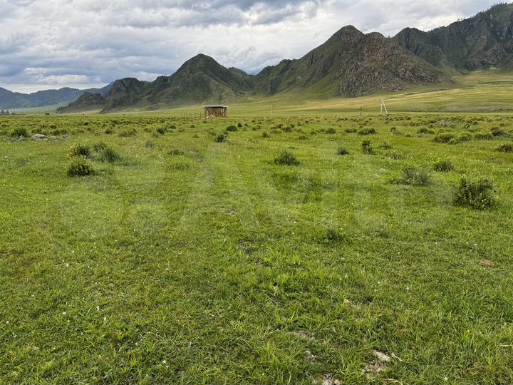 Участок 30 сот. (СНТ, ДНП)