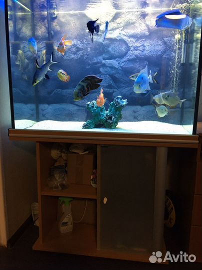 Аквариум