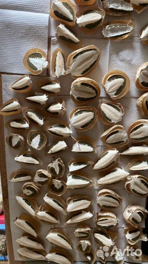 Гриб веселка