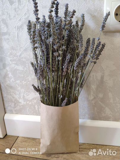 Букетик лаванды