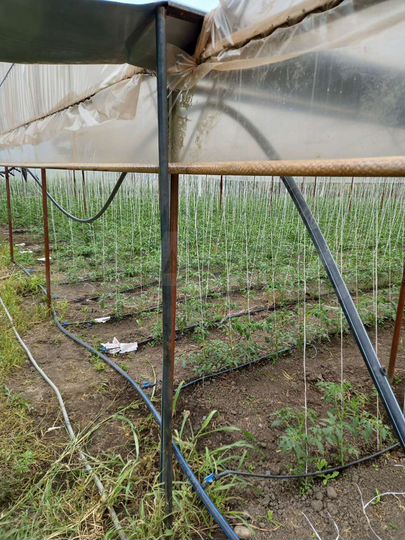 Дом 80 м² на участке 23 сот.