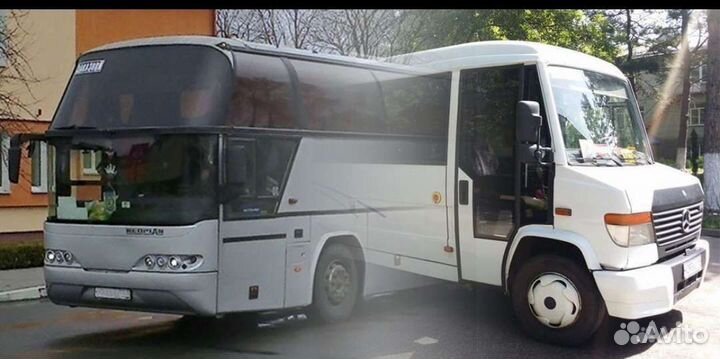 Требуется водитель автобуса категории D