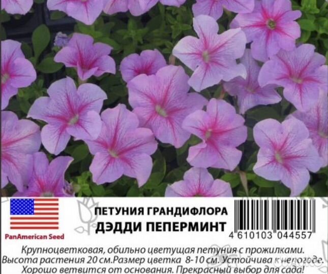 Профессиональные семена петунии